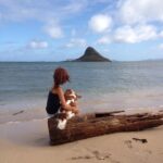 HI Pets Affordable Vet Clinic Oahu Ohana