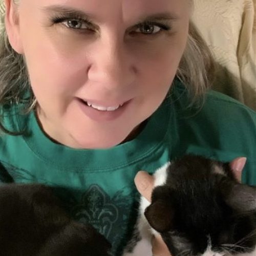 About Our Honolulu Veterinarian Care HI Pets Vet Clinic